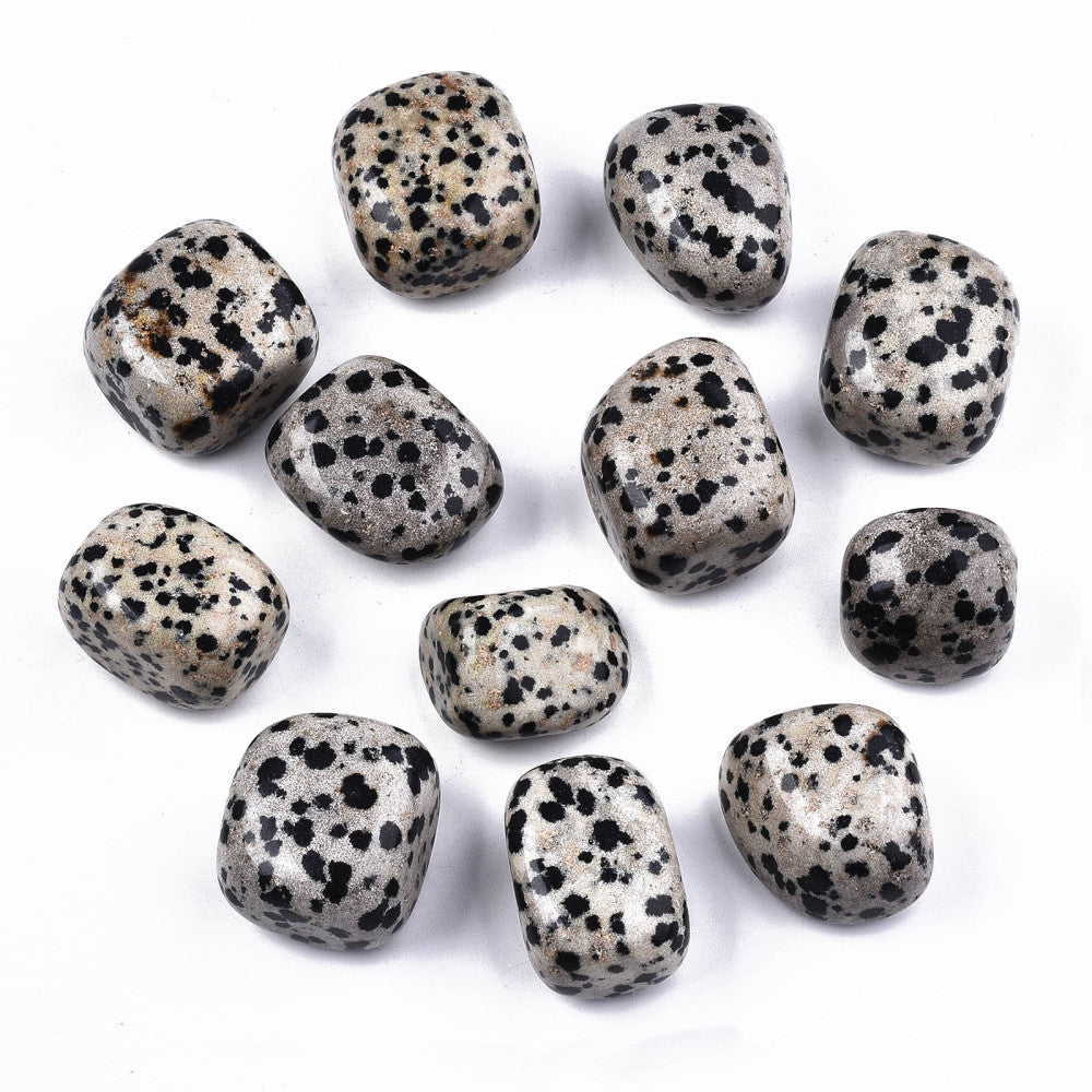 Dalmatian Jasper Tumbled Stone
