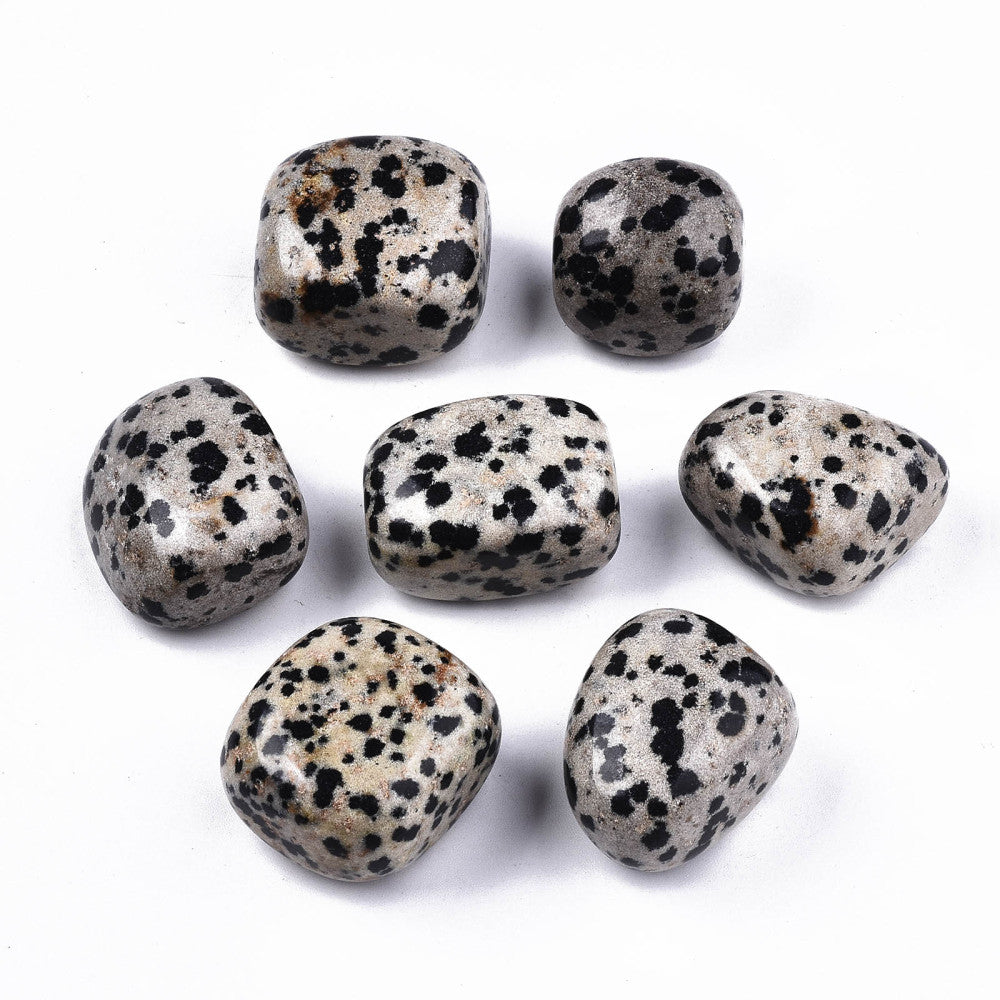 Dalmatian Jasper Tumbled Stone