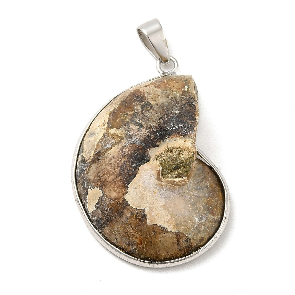 Snail Fossil Necklace