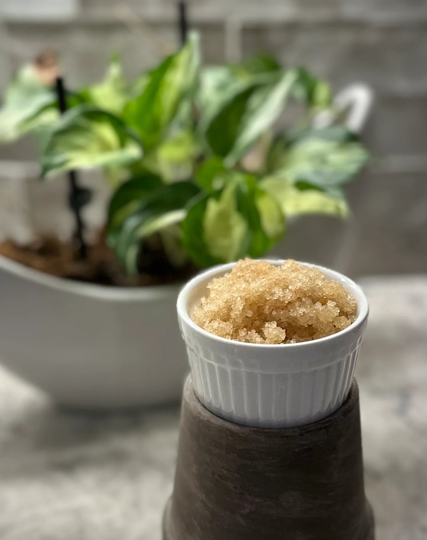 In Full Bloom body scrub