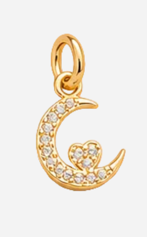 Moon &amp; Heart Charm
