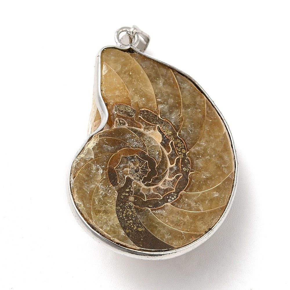 Snail Fossil Necklace