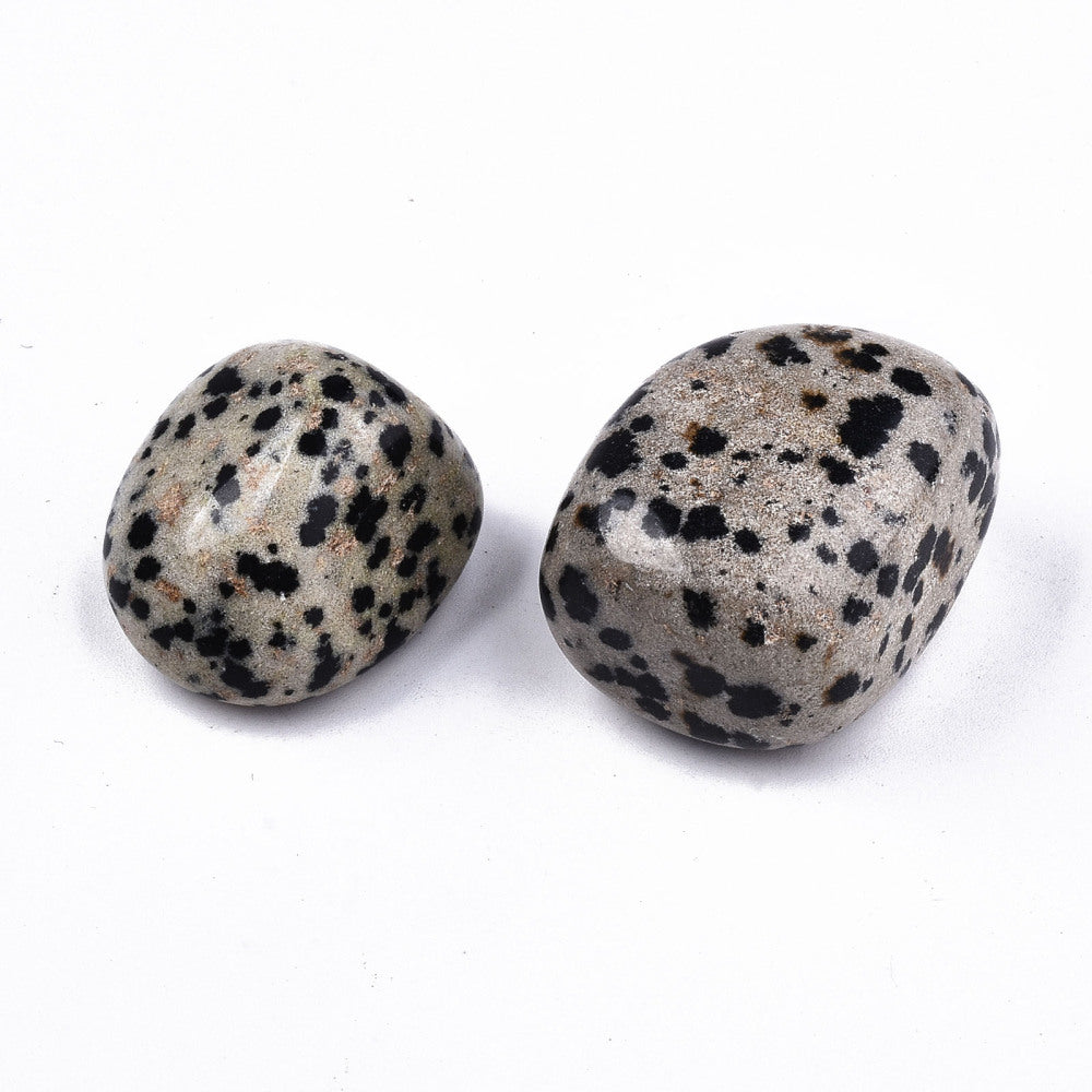 Dalmatian Jasper Tumbled Stone